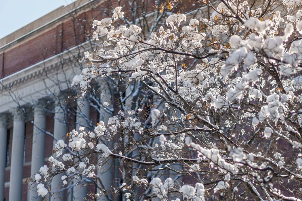 Harvard Art Museum - Harvard Yard