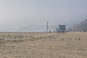 blog trip californie la plage a Los Angeles