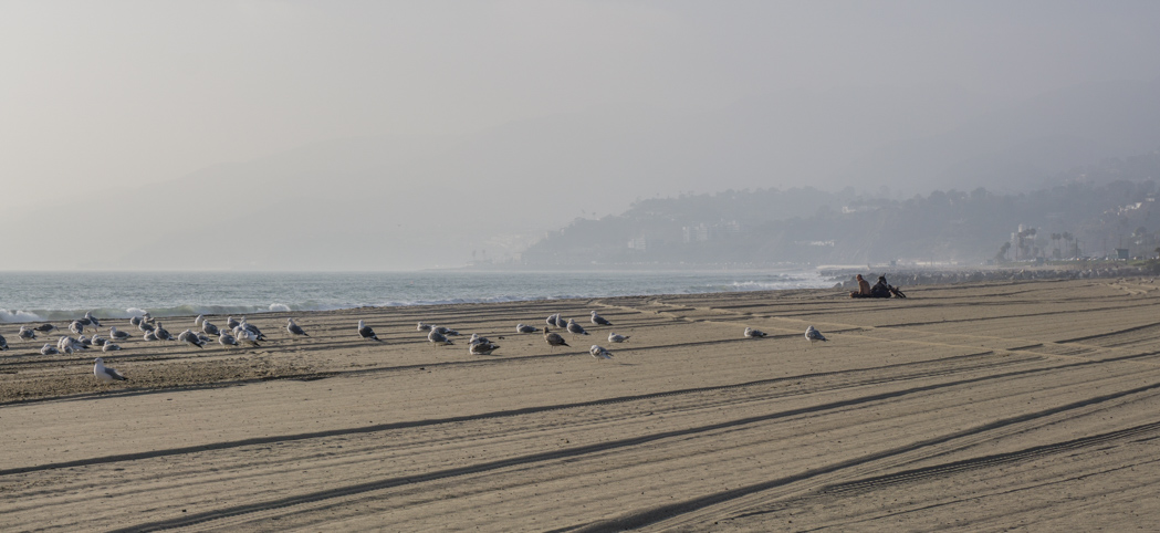 Los Angeles Californie - la plage - www.maathiildee.com