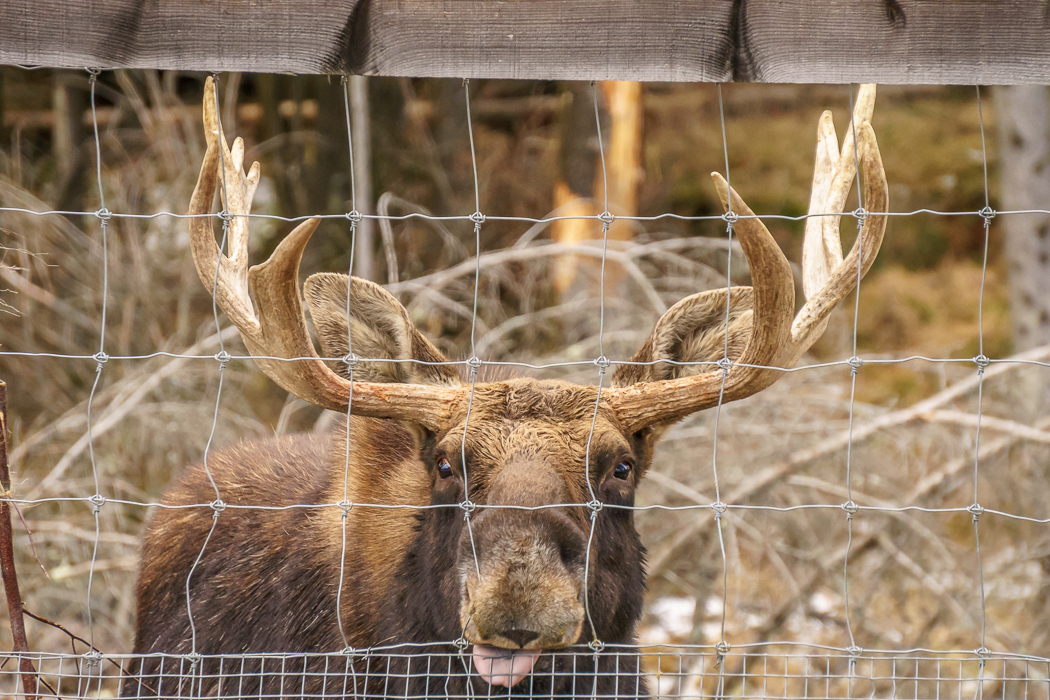 parc omega - élan| www.maathiildee.com