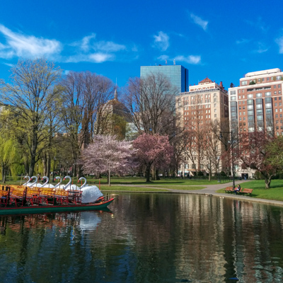 Public Garden Boston // Le blog de Mathilde