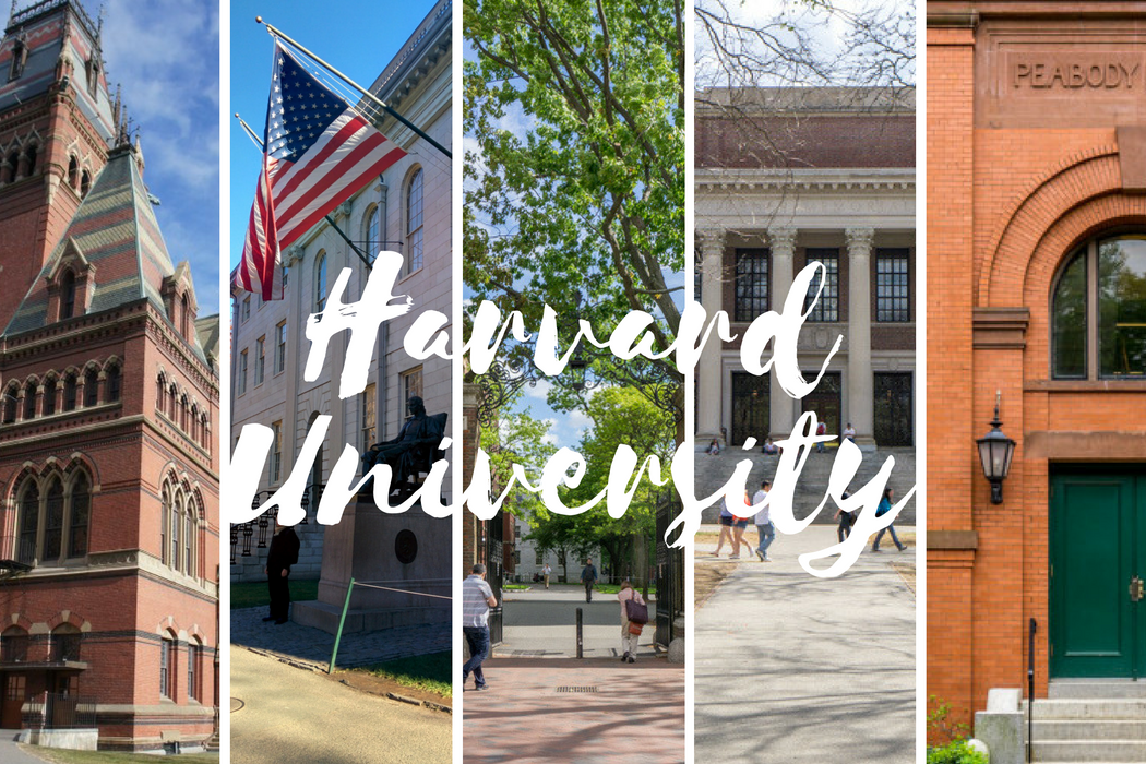 Visiter le campus de l'université de Harvard Le blog USA de Mathilde