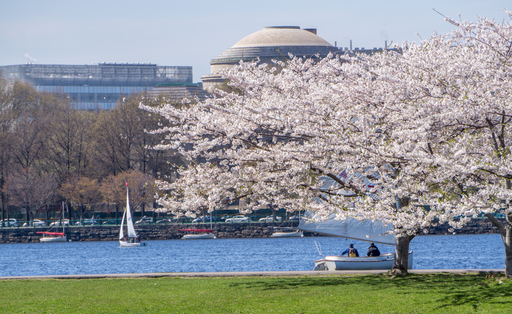 Printemps Boston-3