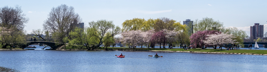 Printemps Boston - canoe