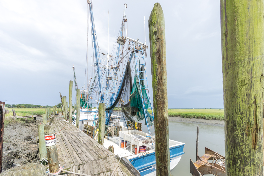 Crevettiers Hunting Island State Park Caroline du Sud-12