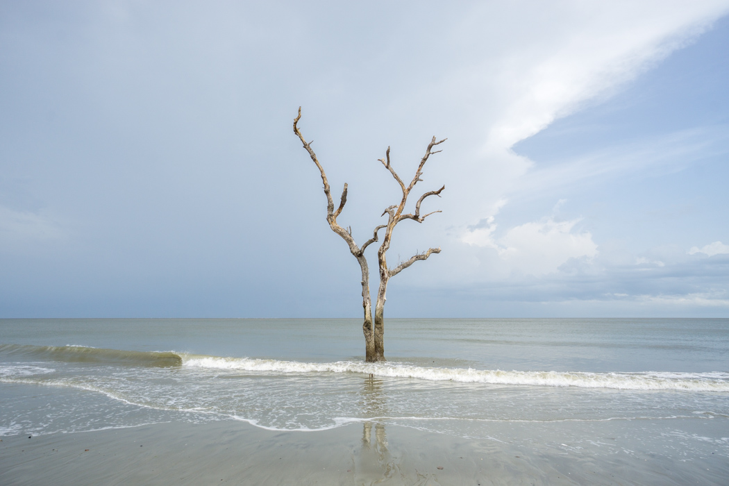 Hunting Island State Park Caroline du Sud-14