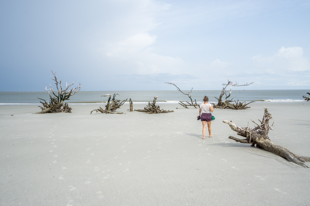 Plage - Hunting Island State Park Caroline du Sud-15