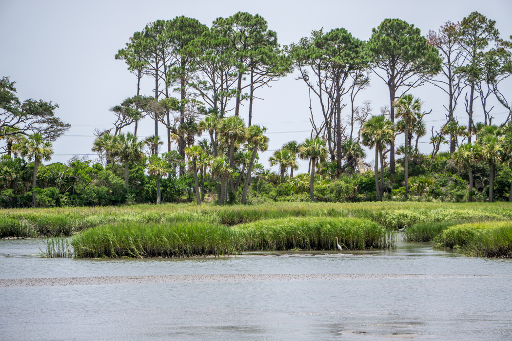 Hunting Island State Park Caroline du Sud-4