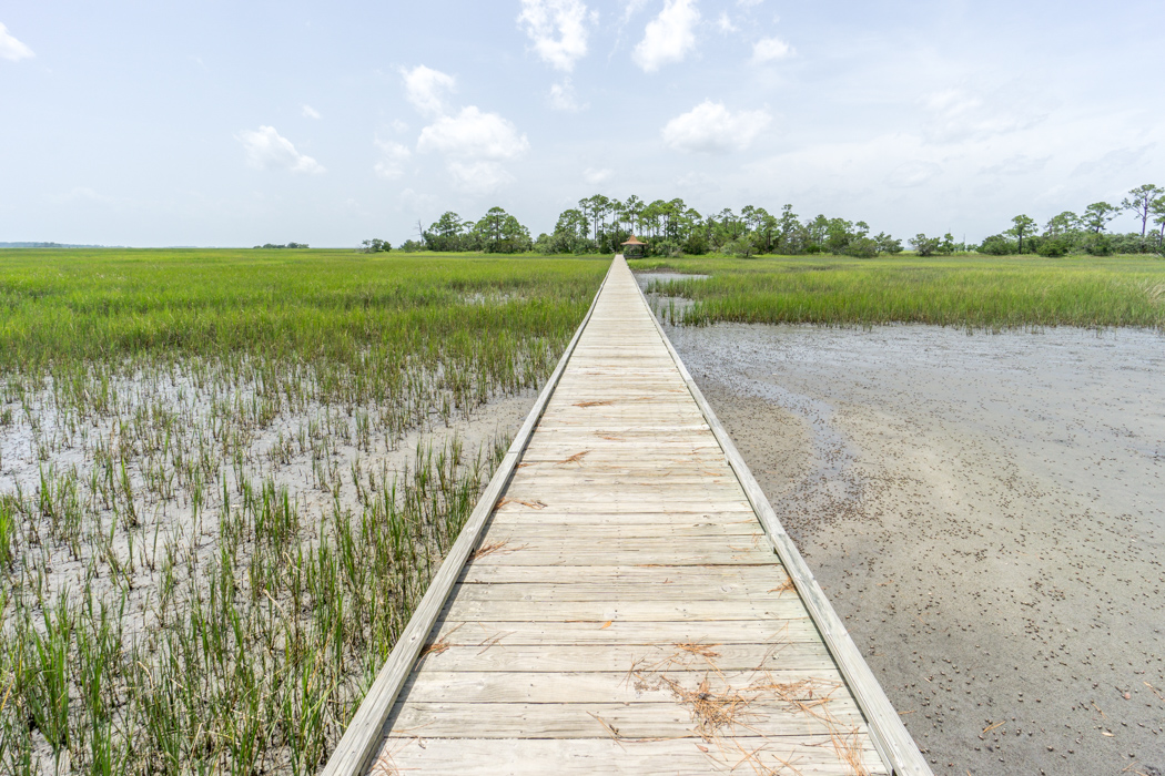 Hunting Island State Park Caroline du Sud-8