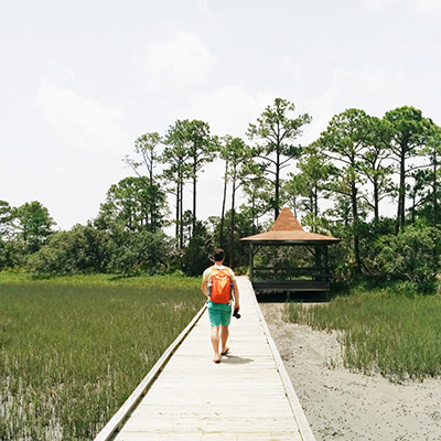 Marecage Hunting Island