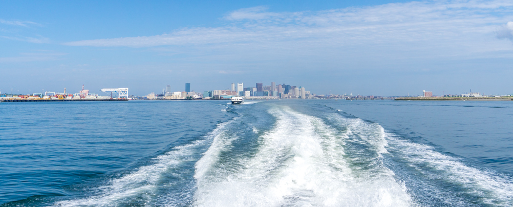 Voir les baleines a Boston-1