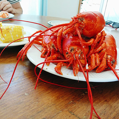 Assiette de homards