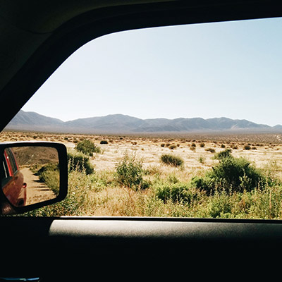 Off road Joshua tree