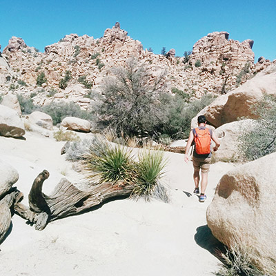 JOshua tree national park