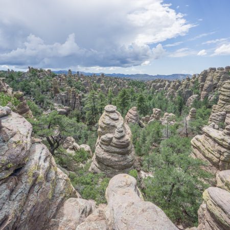 Arizona - Chiricahua