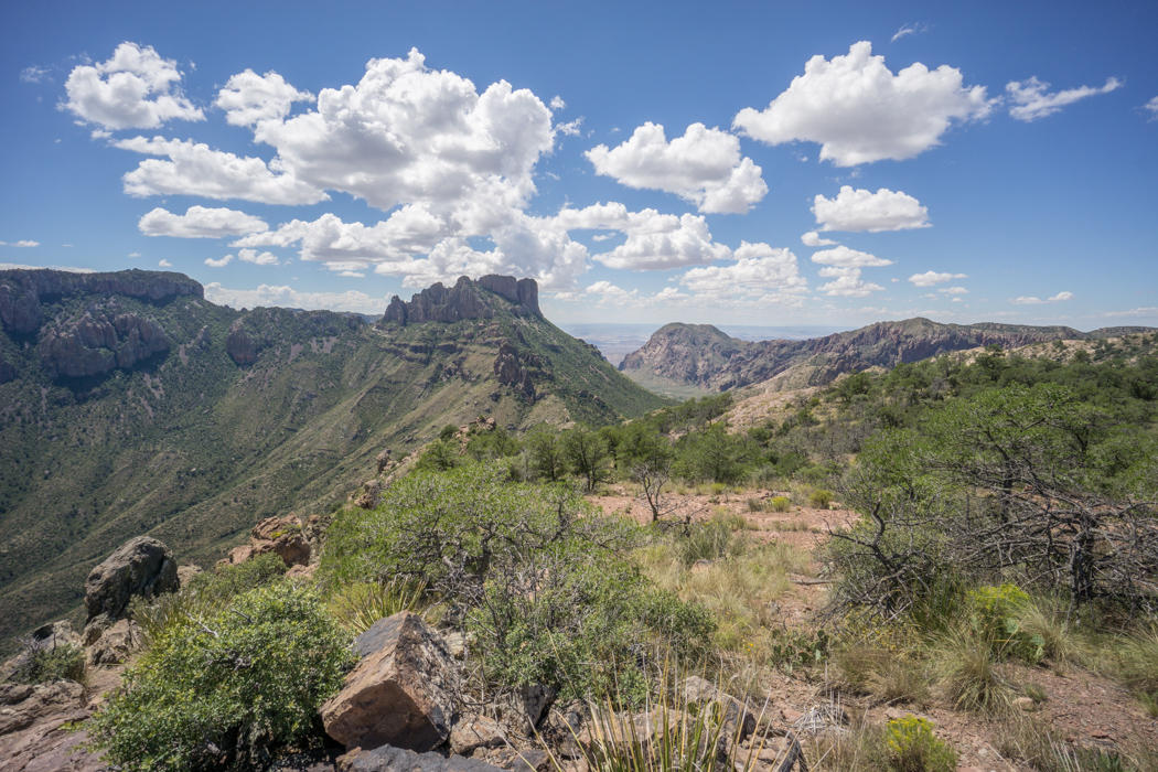 Big Bend Texas - lost mine trail 2