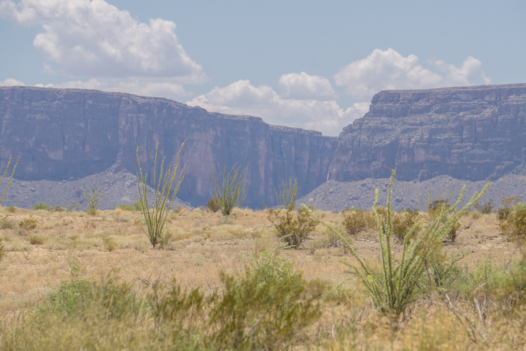 Big Bend Texas-26