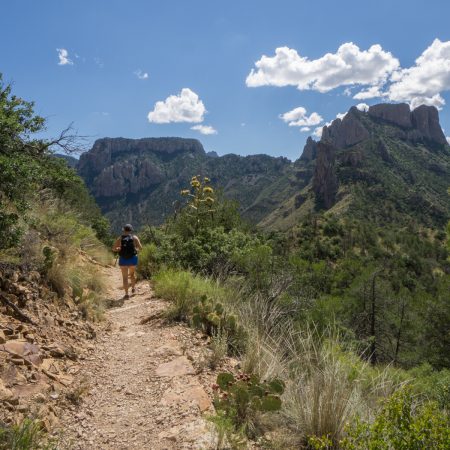 Big Bend Texas-2