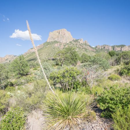 Big Bend texas - CHISOS Mountains