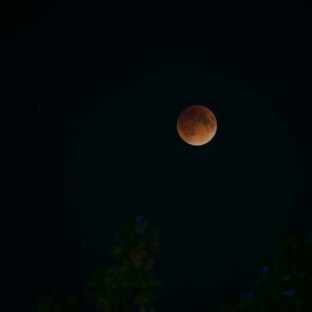 Blood moon-1