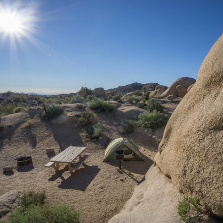 california - jumbo rocks