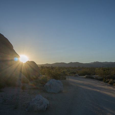 california - coucher de soleil joshua tree national park