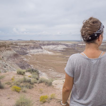 petrified forest arizona-3