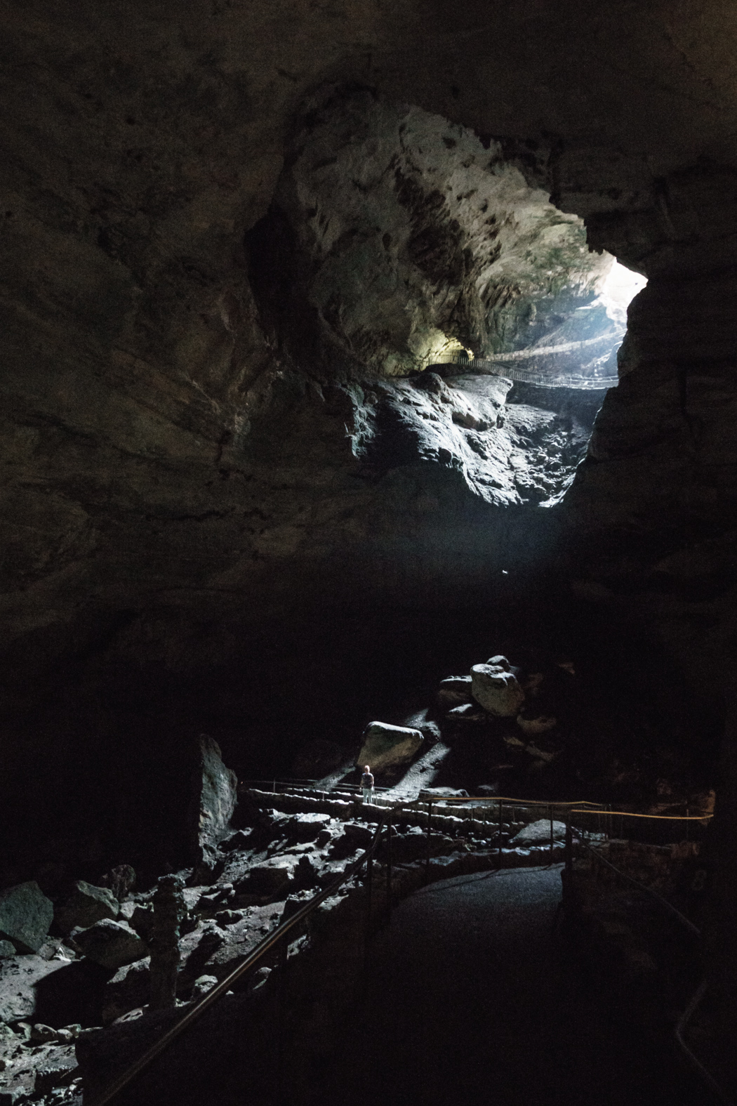 CARLSBAD caverns nouveau mexique-4