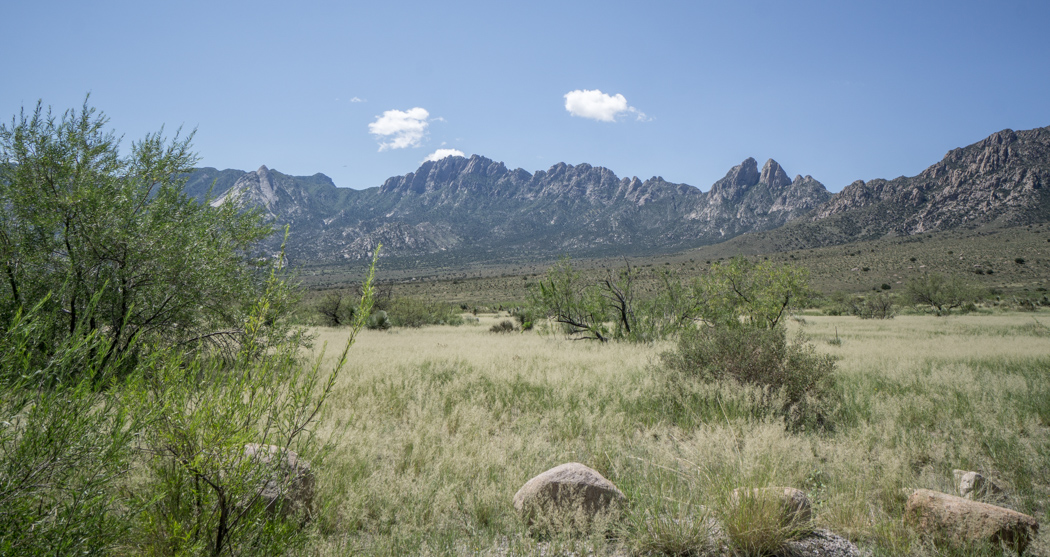 Chiricahua Arizona-1