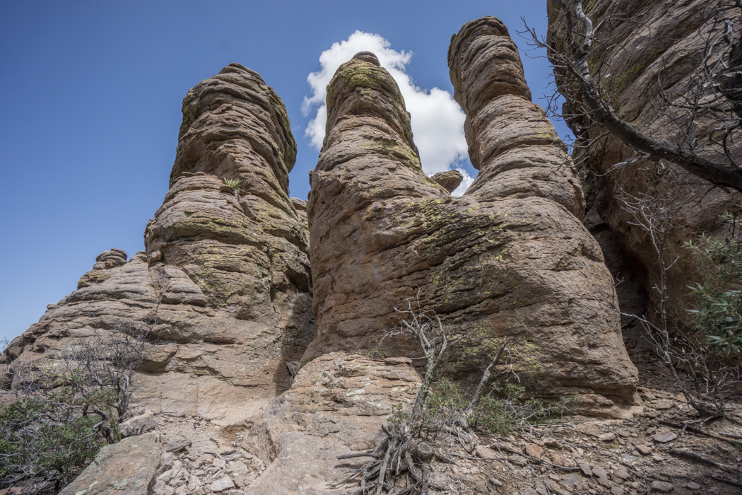 Chiricahua Arizona-10