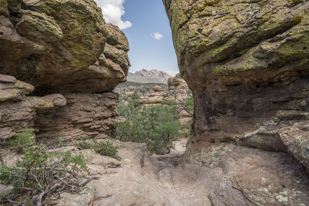 Chiricahua Arizona-12