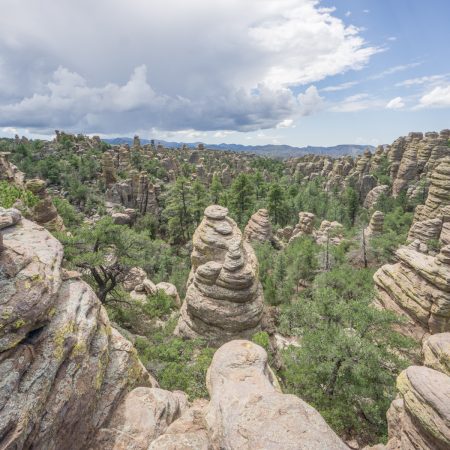 Chiricahua Arizona-13