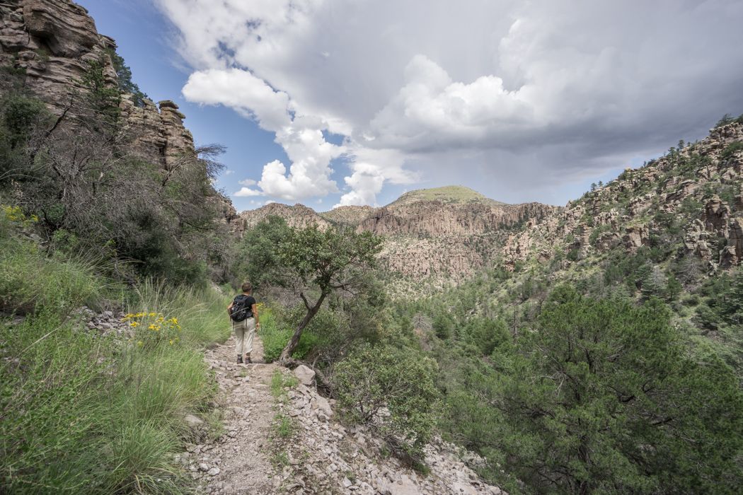 Chiricahua Arizona-16