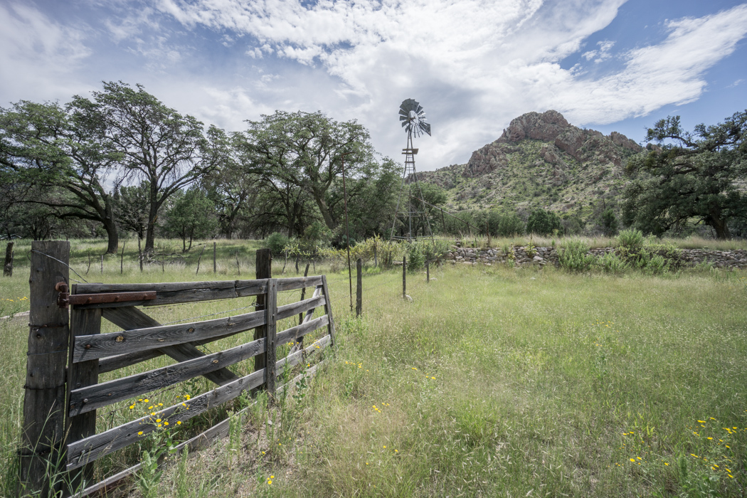 Chiricahua Arizona-19