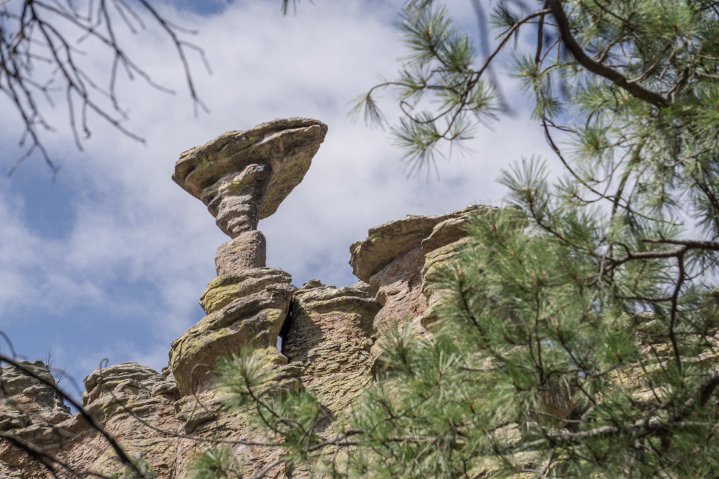 Chiricahua Arizona-8