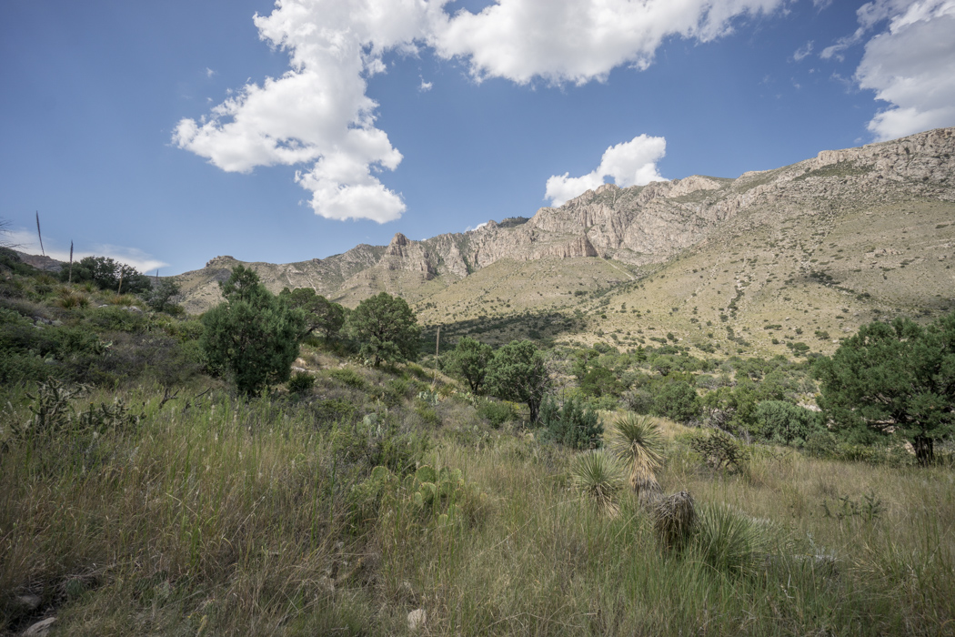 Guadalupe Mountains National Park Texas-14