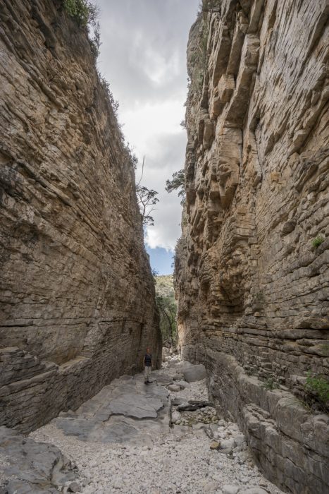 Guadalupe Mountains National Park Texas-20