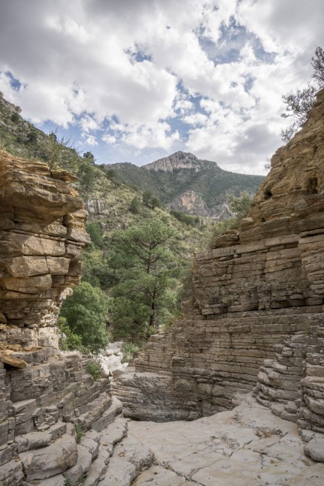 Guadalupe Mountains National Park Texas-21