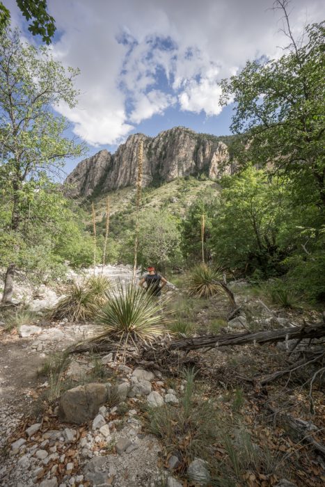 Guadalupe Mountains National Park Texas-22