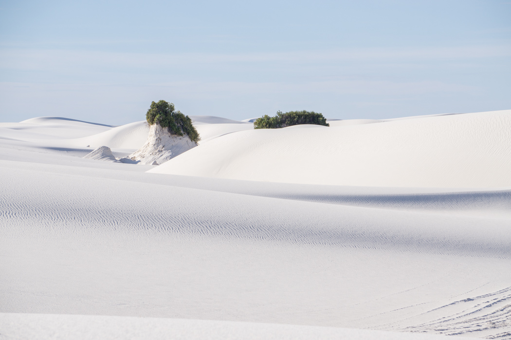 White sands dune nouveau mexique-18