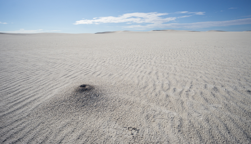 White sands dune nouveau mexique-19