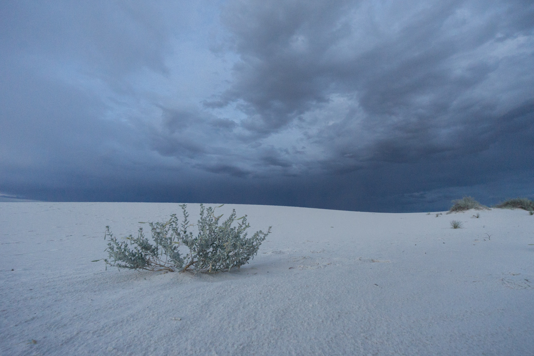 White sands dune nouveau mexique-4