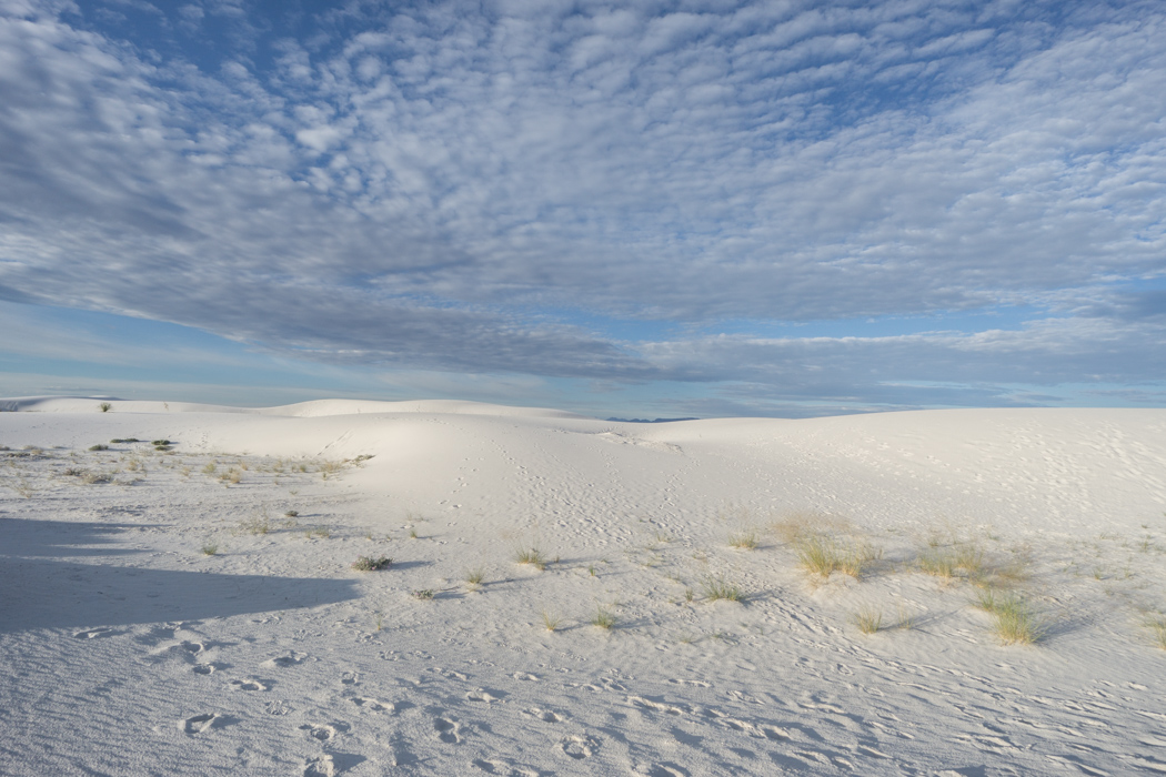 White sands dune nouveau mexique-7