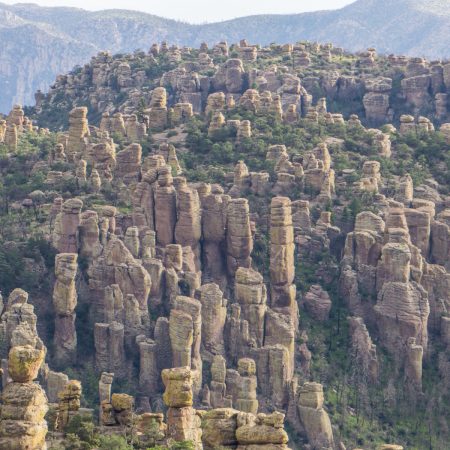 chiricahua arizona coeur de pierre