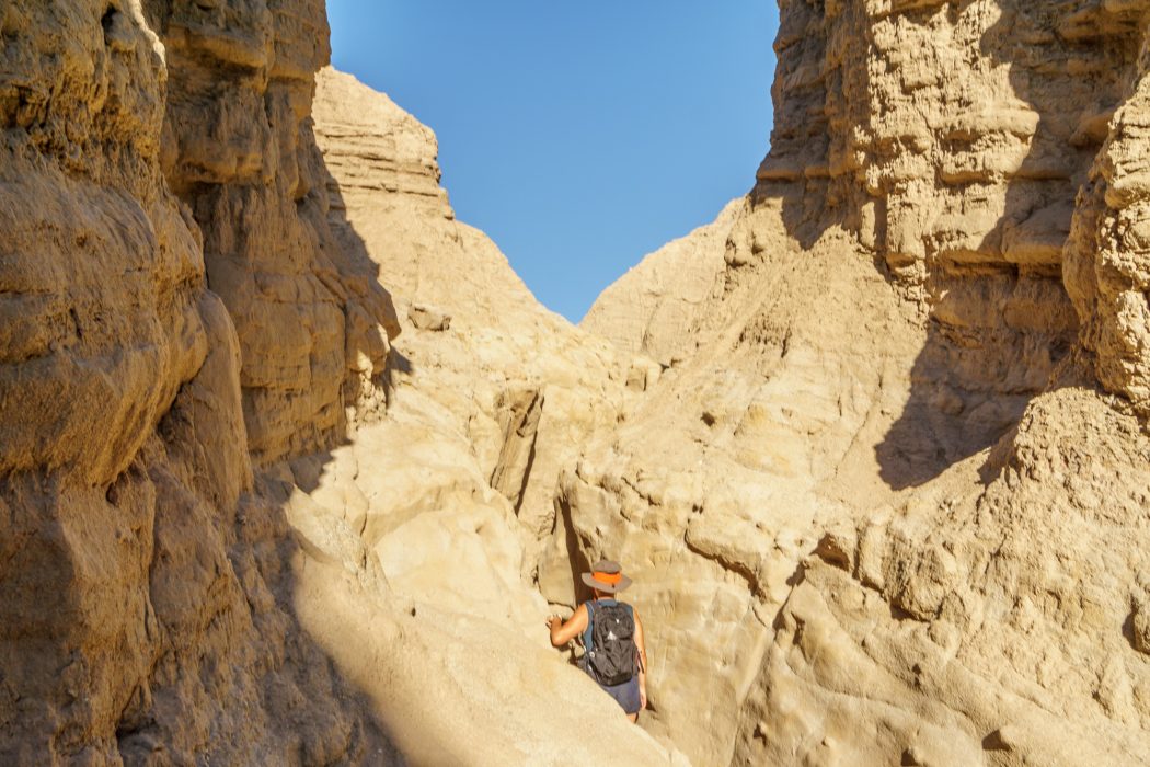 Anza Borrego Californie-21