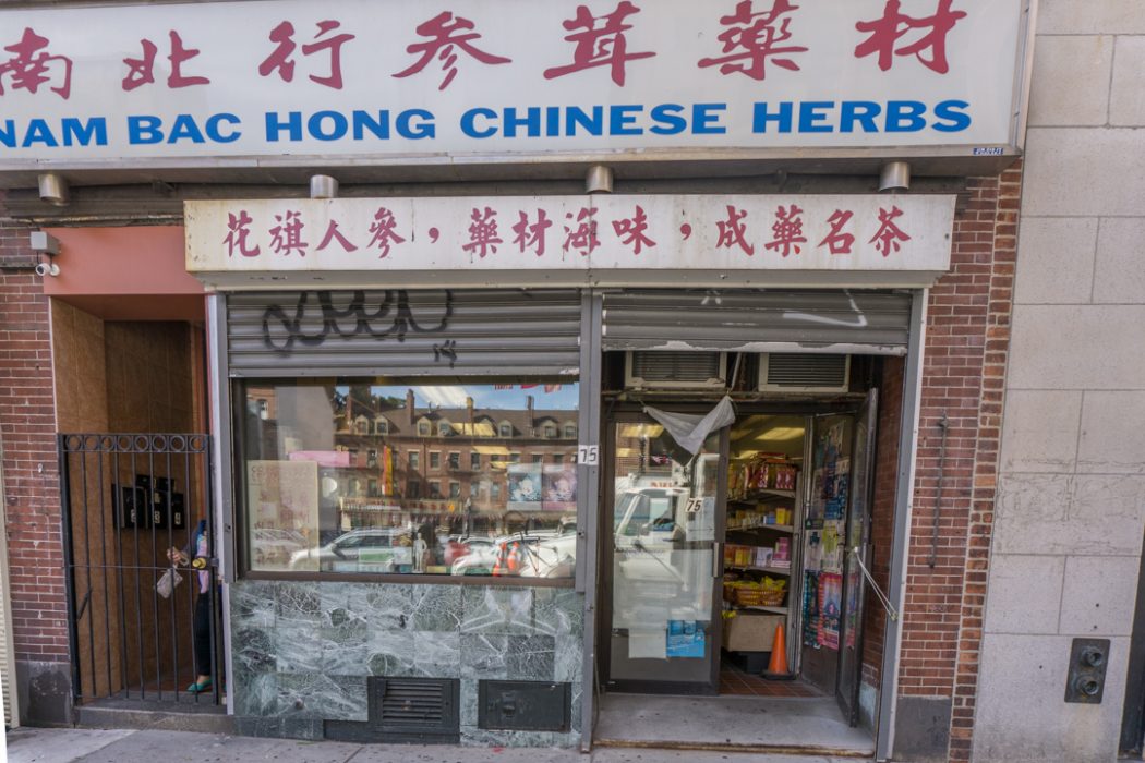 Chinatown Boston - herboristerie
