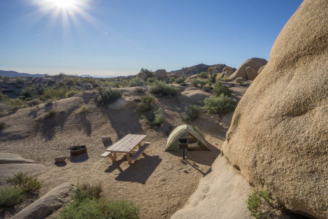 Joshua Tree Park California-1