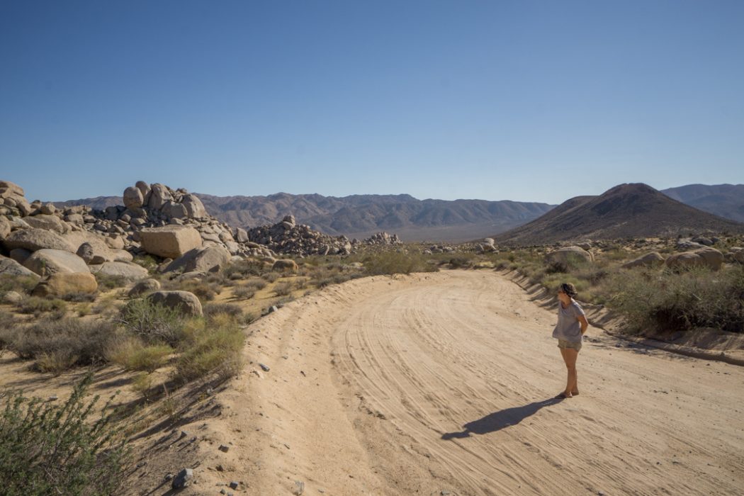 Joshua Tree Park California-10