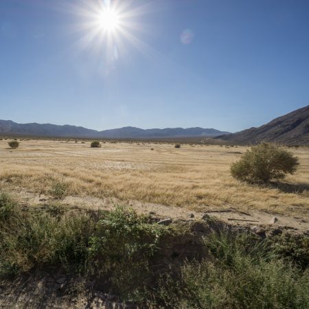 Joshua Tree Park California-1