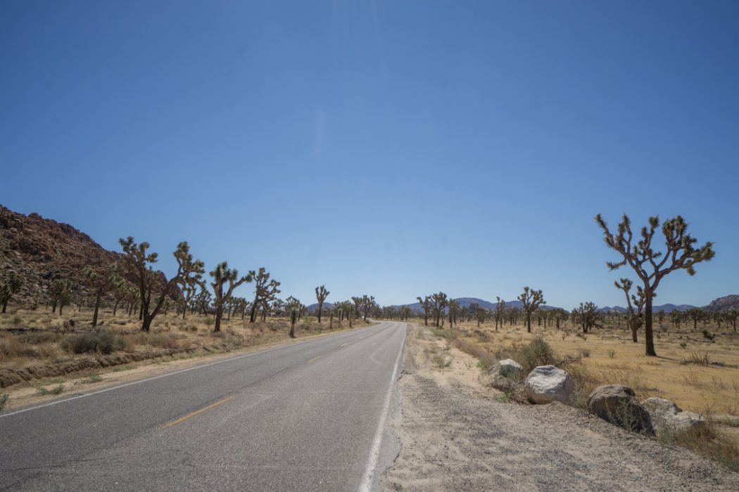 Joshua Tree Park California-2